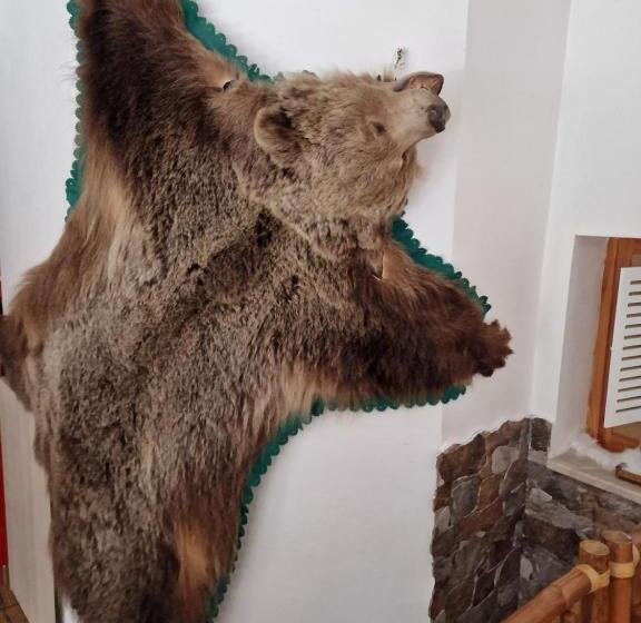 פנסיון Ubytovanie Janka