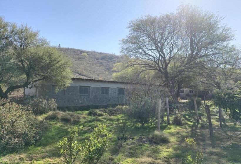 Общежитие Pomancillo Ecolodge