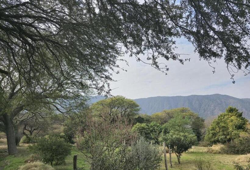 Общежитие Pomancillo Ecolodge