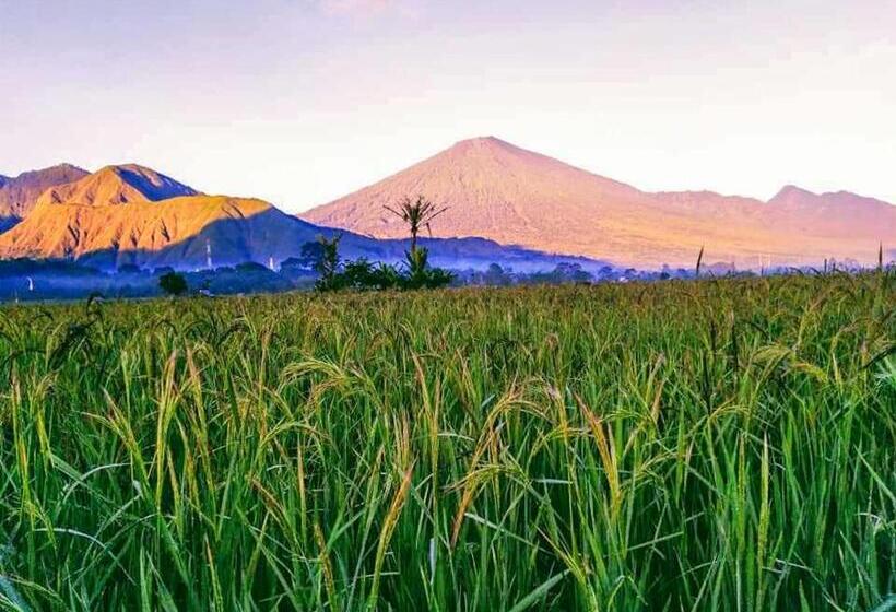 הוסטל Tangga Bungalows