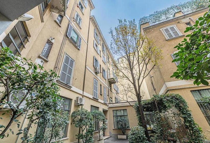 Art Around In Monti House