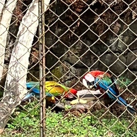 צימר Casa Naturaleza