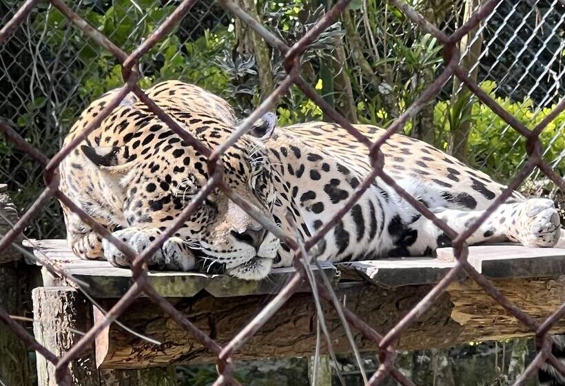 مبيت وإفطار Casa Naturaleza