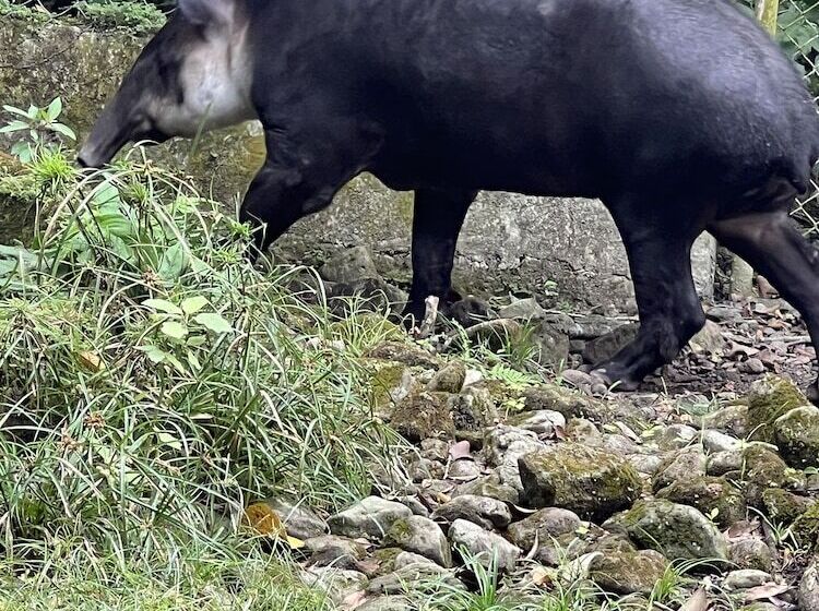مبيت وإفطار Casa Naturaleza