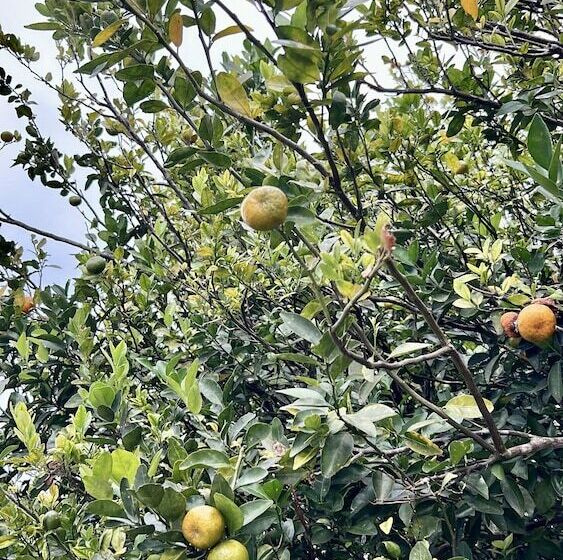 مبيت وإفطار Casa Naturaleza