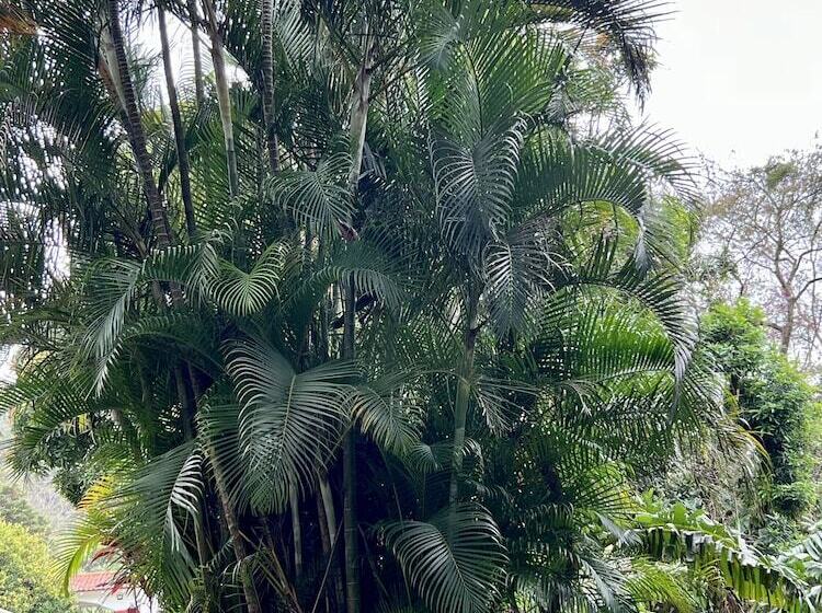 مبيت وإفطار Casa Naturaleza