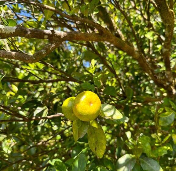 مبيت وإفطار Casa Naturaleza