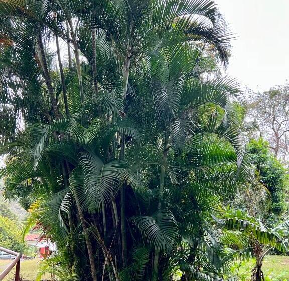 مبيت وإفطار Casa Naturaleza