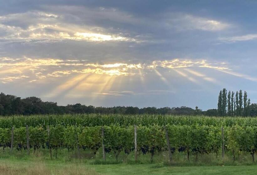 ベッドアンドブレックファースト Erve Zonnehoeve