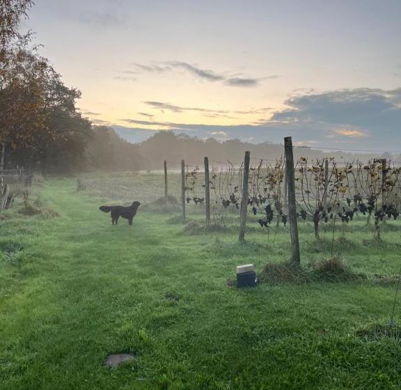 ベッドアンドブレックファースト Erve Zonnehoeve