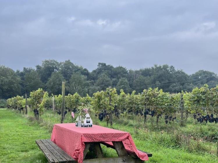 ベッドアンドブレックファースト Erve Zonnehoeve