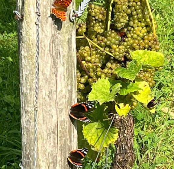 ベッドアンドブレックファースト Erve Zonnehoeve