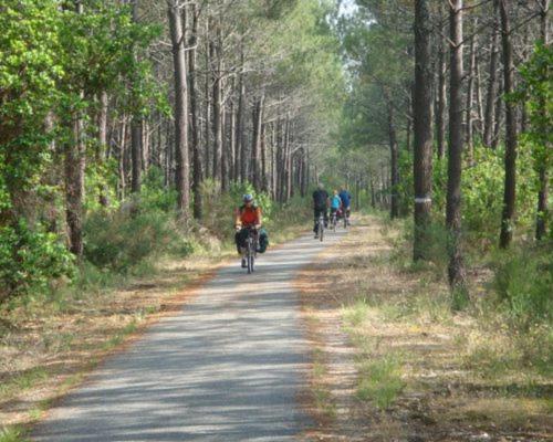 مبيت وإفطار Maison D Hôtes Martineau