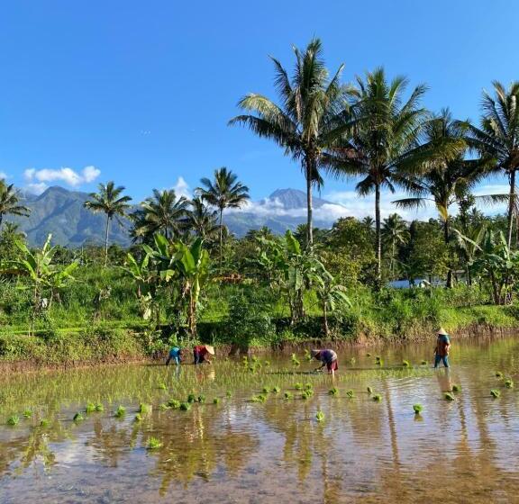 مبيت وإفطار Eco Homestory