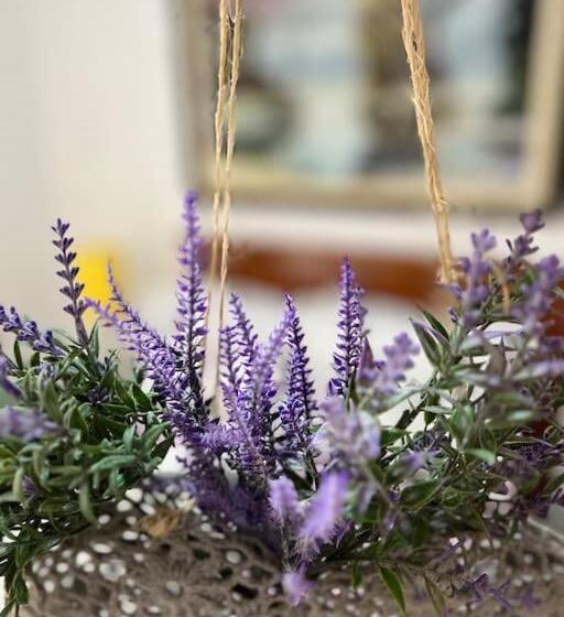 مبيت وإفطار Suíte Lavanda   Centro, Marechal Floriano Es
