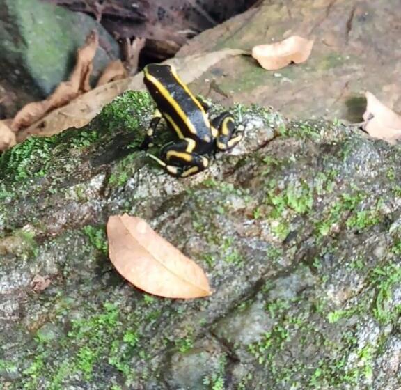 Eco Hotel La Cascada