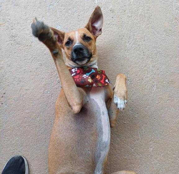 Eco Hotel La Cascada