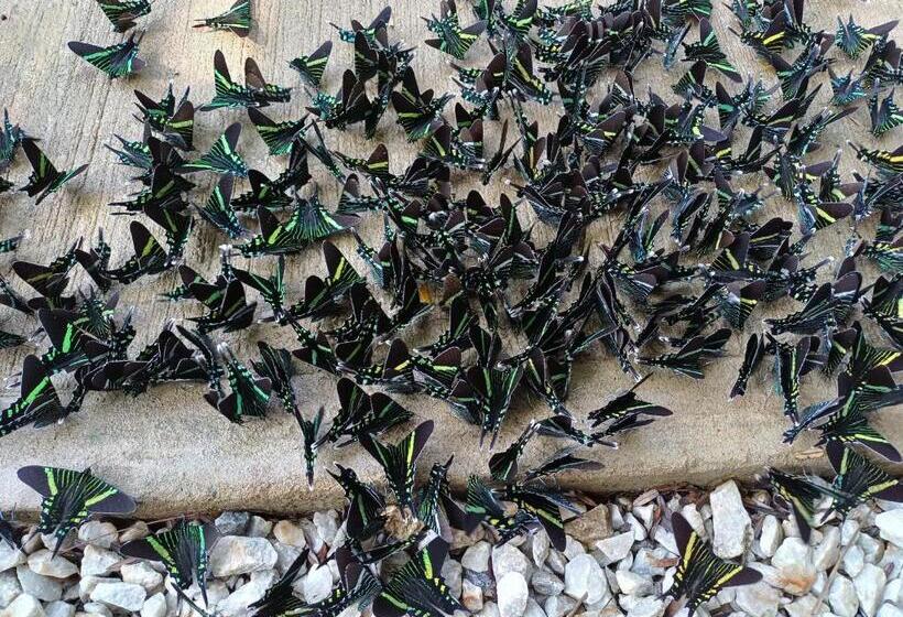 Eco Hotel La Cascada