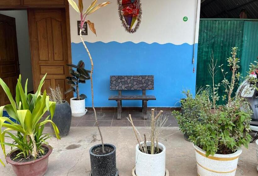 Errol S Homestay And Hostel