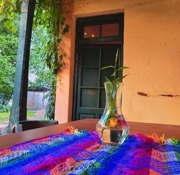 酒店 Casa Vidal Guesthouse