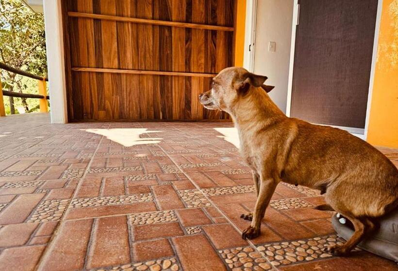 فندق Finca San Antonio