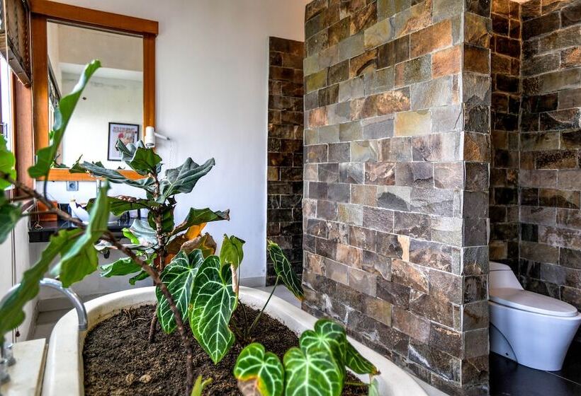 בית מלון כפרי Melo Suites