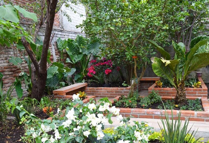 호텔 Oyo Casa Rotter