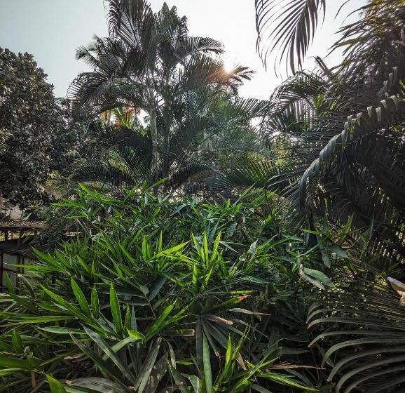 בית מלון כפרי Seaside Serenity Resort