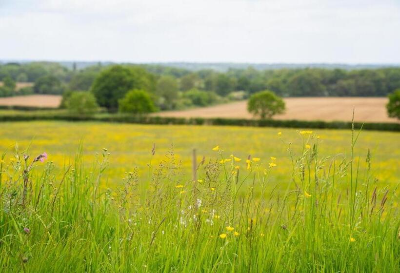 Пансион Jossie S Snug