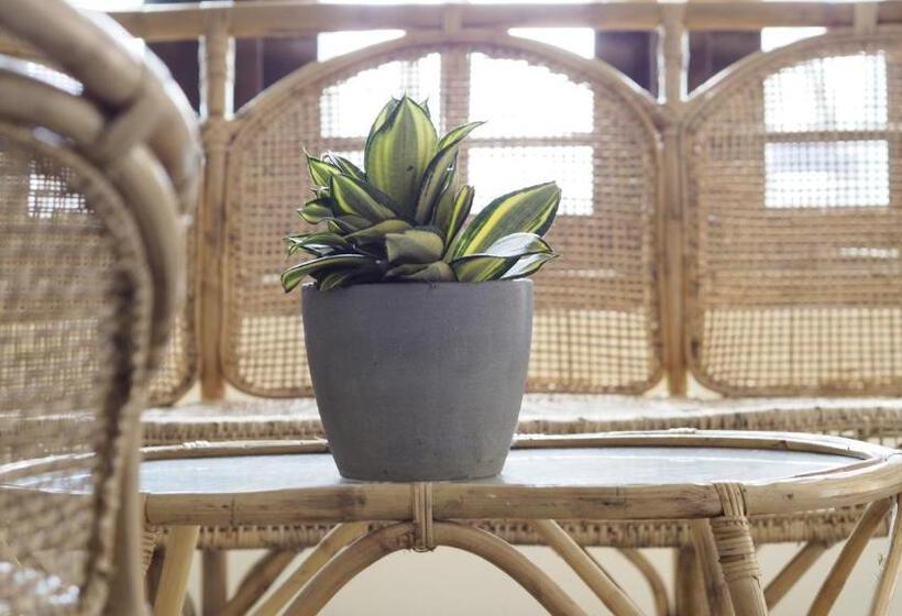 ペンション Just Another Guesthouse