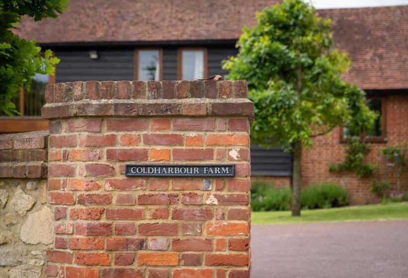 膳宿费 Mattie S Loft