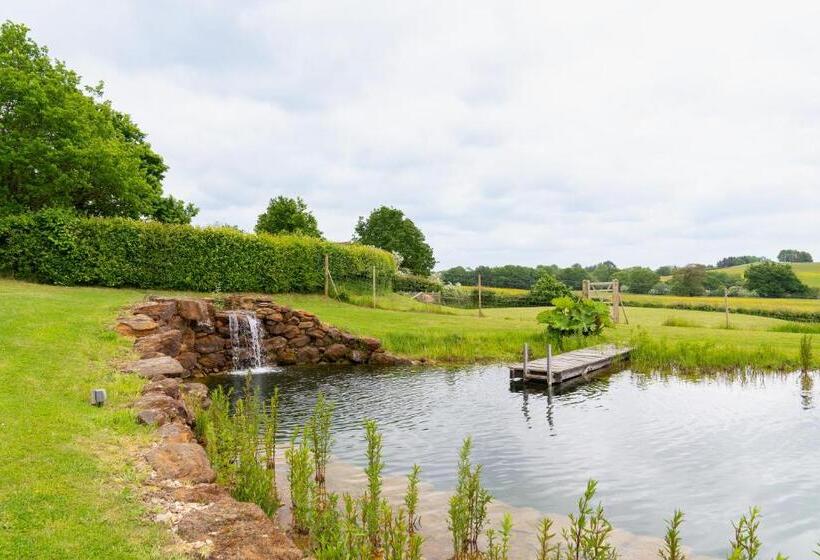 膳宿费 Mattie S Loft