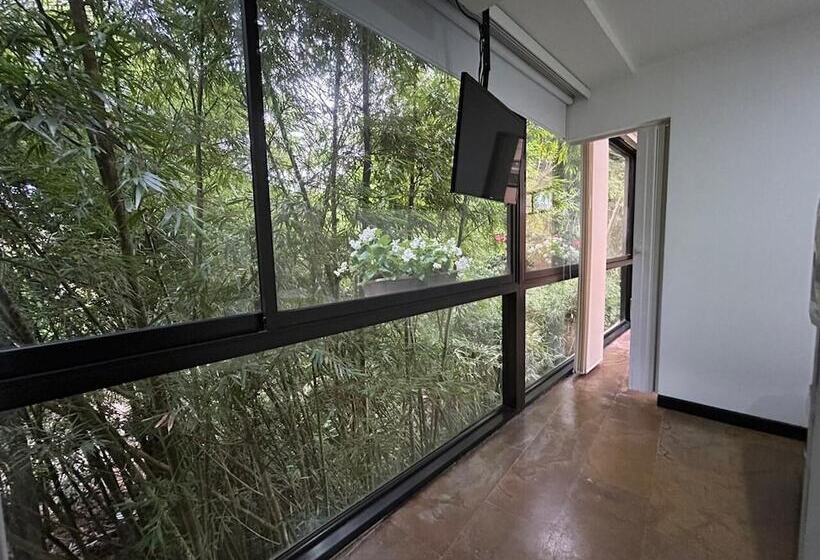 펜션 Room In Bb   Suite Presidencial En Hotel Proximo Al Aeropuerto