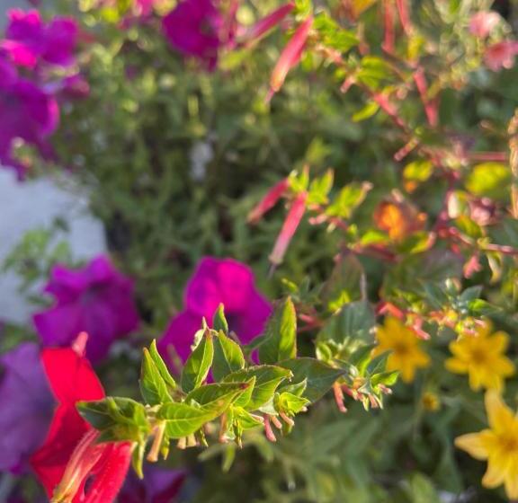 Пансион Whitewater Cottage