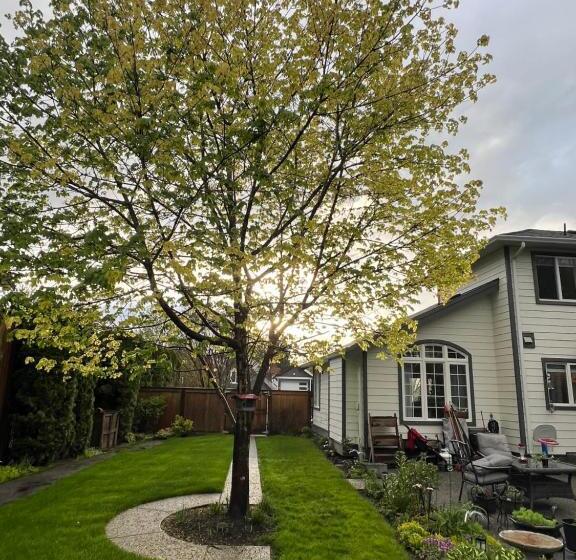 Пансион Whitewater Cottage