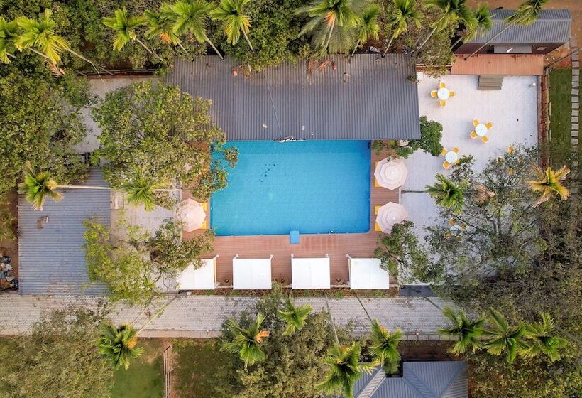 אתר נופש Glamp Wilderness