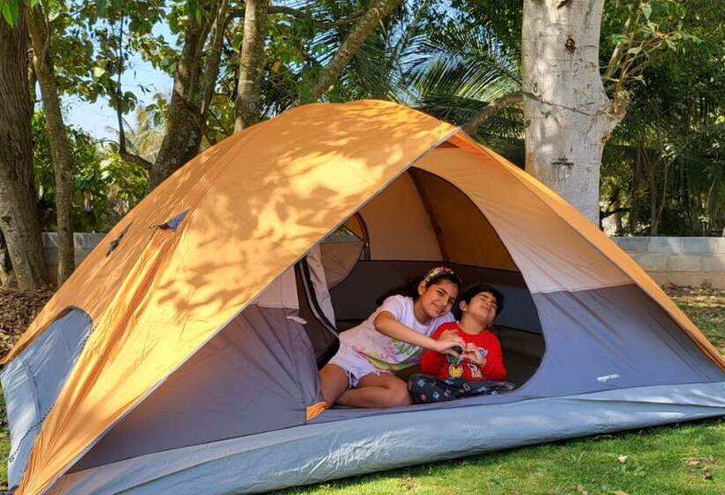 אתר נופש Glamp Wilderness