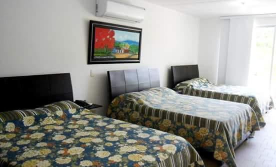 Restaurante   Hotel Los Manguitos