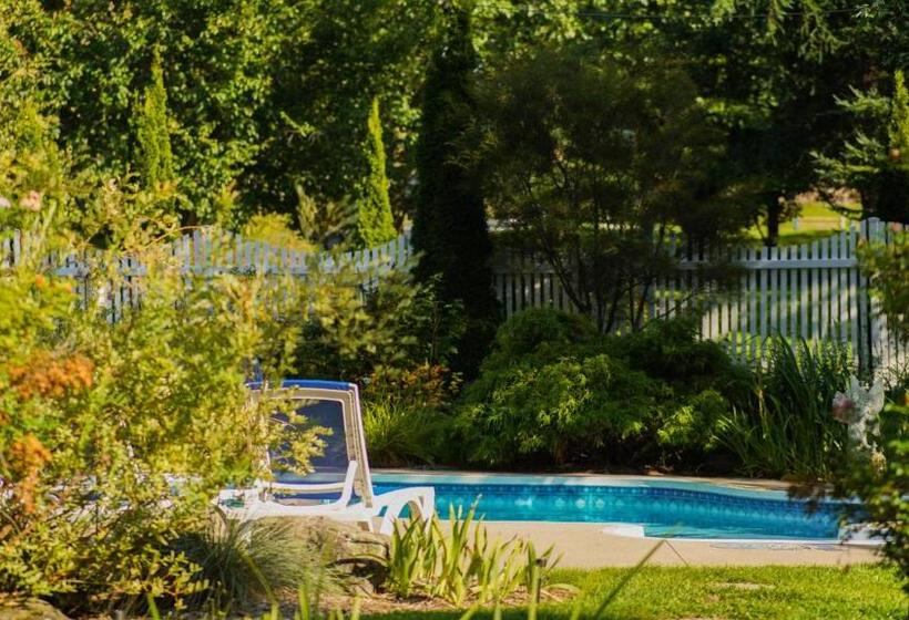 호스텔 Auberge Incroyable