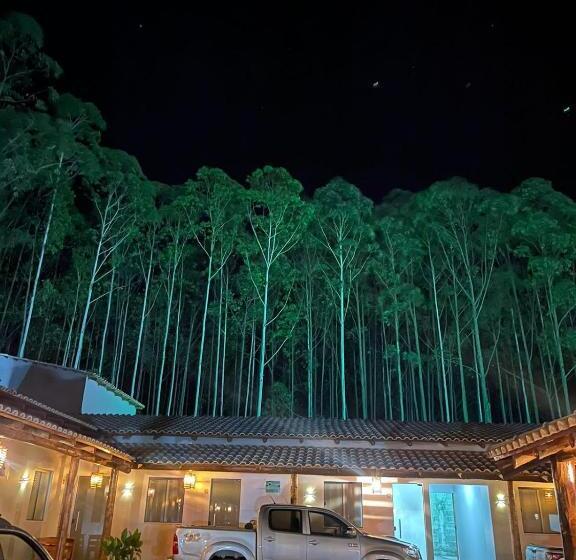 הוסטל Pousada Ipê Amarelo