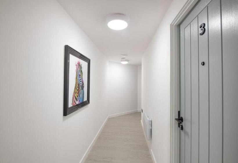 Albion Street Studios