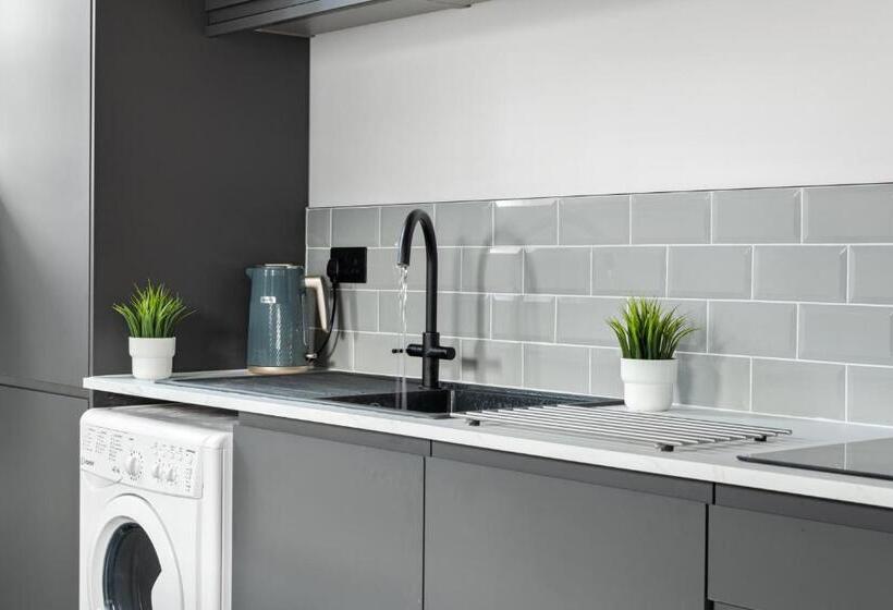 Albion Street Studios