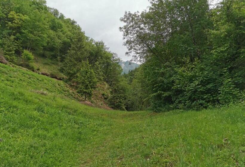 B&b Il Mulino Alla Busa