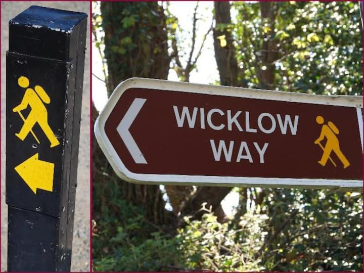 צימר Central House