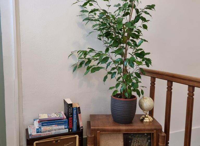 ベッドアンドブレックファースト Chez Jack Confolens