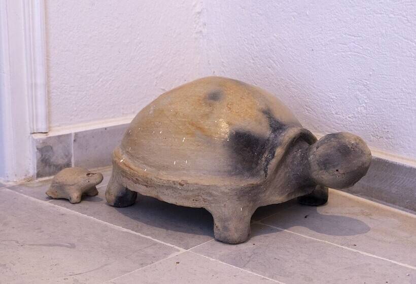 Bed and Breakfast Dar Yessine Boutique Hôtel