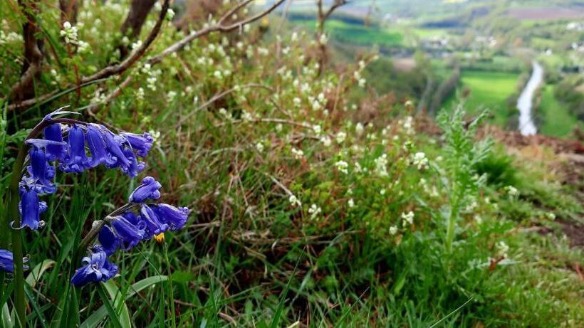 Bed and Breakfast La Petite Taupe   Chambres D Hôtes