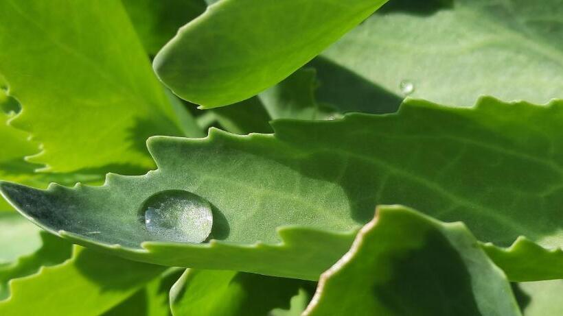 Bed and Breakfast La Petite Taupe   Chambres D Hôtes