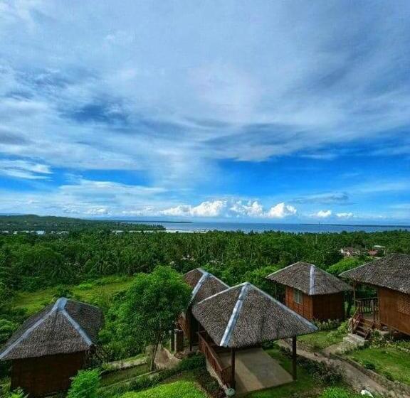 Bed and Breakfast Loony Cafe