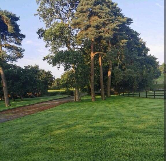 مبيت وإفطار Virginia House